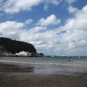 IMG_0004 (2)